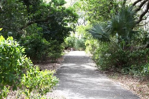 Path in the nature Stock Photos
