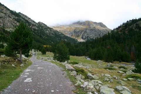 Path in nature Stock Photos