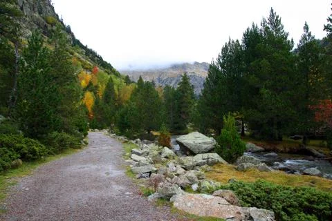 Path in nature Stock Photos