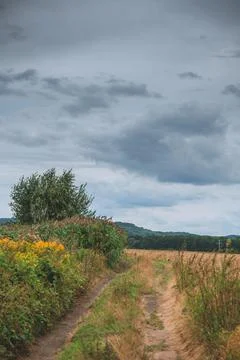 Path in nature under cloudy sky Stock Photos