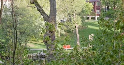 Path near river Video stock 130314948