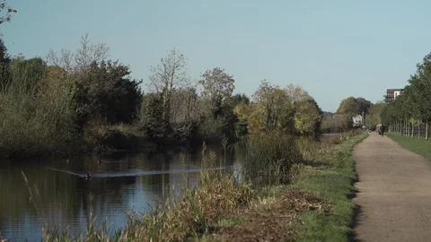 Path next to canal with ducks on the water in beautiful scenery Stockbeeldmateriaal 101647902