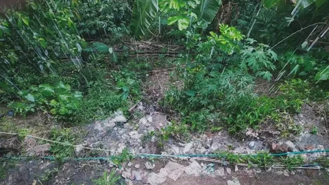 The path next to the house is muddy due to rainwater. Video stock 303797949