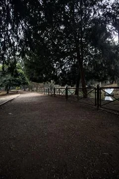 Path next to a pond passing under an arching tree in a park in autumn on a .. Stock Photos