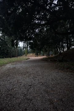 Path next to a pond passing under an arching tree in a park in autumn on a .. Stock Photos