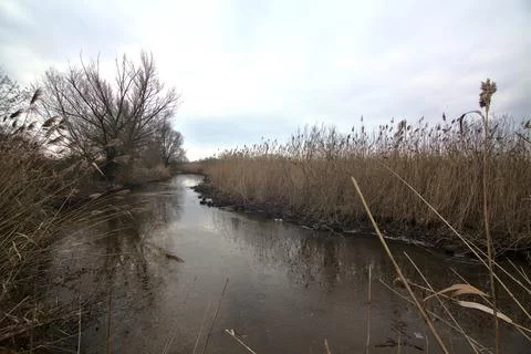 A path next to a stream of water and a marsh filled with reeds in the italian Stock Photos