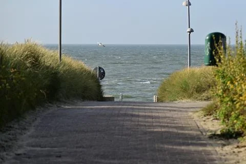 Path to the north sea as a close up Stock Photos
