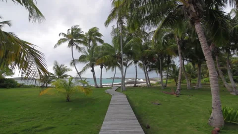 Path to ocean in the Bahamas Stock Footage 132996200