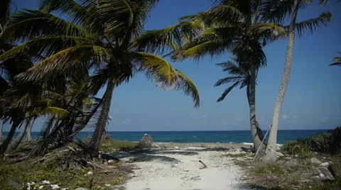 Path to the Ocean Vídeo Stock 22817743