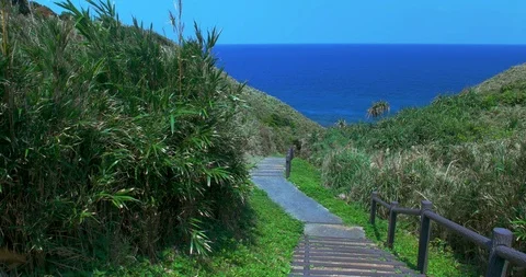 Path to the ocean. Stock Footage 94873050