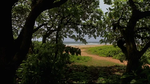 Path To Ocean Stock Footage 104270051