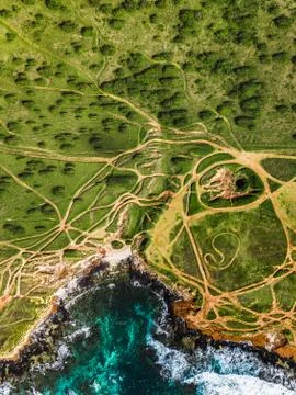 The Path to the Ocean Stock Photos