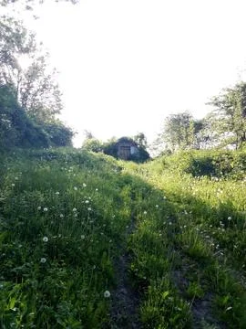 Path to the old cellar Foto stock