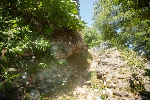 A path from an old cobblestone Stock Photos