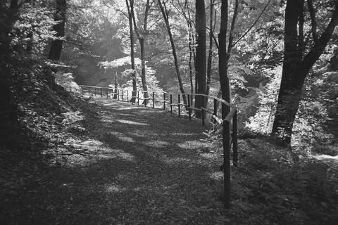 Path to Oparno train station on 5 September 2023 on analogue photo Stock Photos