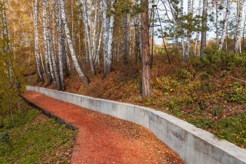 A path of orange rubble in a park with trees in a birch forest in the afterno Stock Photos