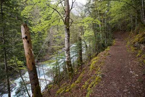 Path in the Ordesa y Monte Perdido national park. Stock Photos
