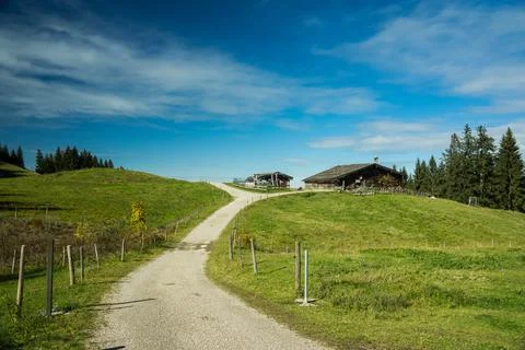 Path over meadow on alps Stock Photos