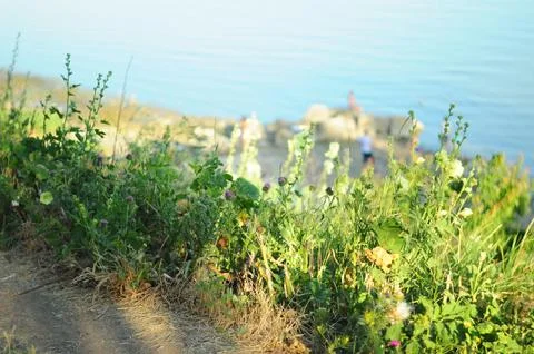 Path over the sea Stock Photos