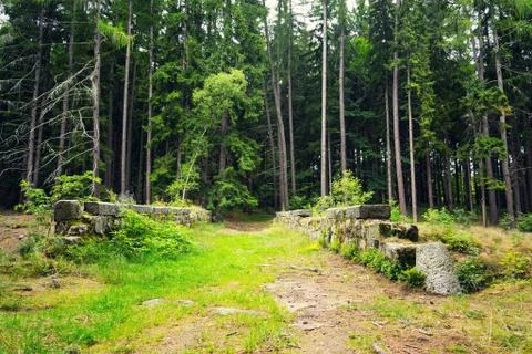 Path over stone bridge in forest, exploration travel adventure concept Stock Photos