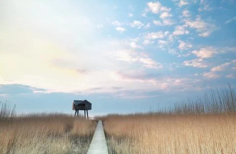 Path over swamp to observation tower Stock Photos