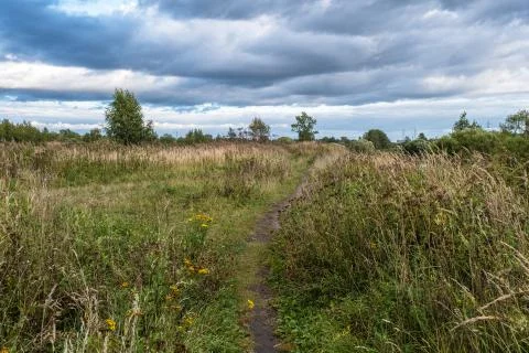 Path overgrown with high dry grass and cloudy sky. Stock Photos