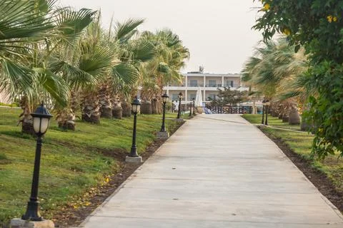 Path with palm trees and lantern in a resort on egypt Stock Photos