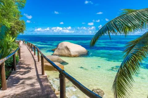 Path at paradise coast Photos