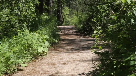 Path to paradise Stock Footage 40361776