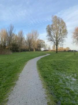 Path in the park against the background of trees and sky Stock Photos