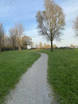 Path in the park against the background of trees and sky Stock Photos