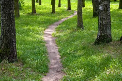 A path in the Park among the trees, a narrow path in the summer forest 스톡 사진