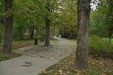 Path in park and trees around it, autumn time Stock Photos