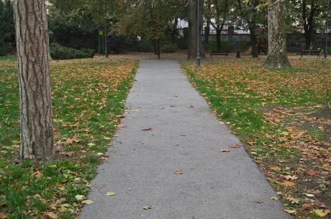 Path in park and trees around it, autumn time Stock Photos