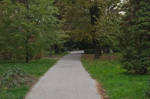 Path in park and trees around it, autumn time Stock Photos