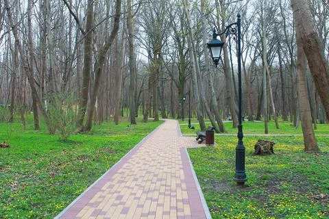 Path in the park in April Stock Photos