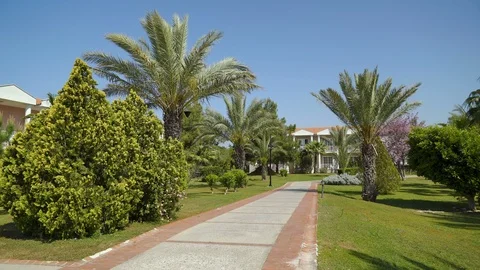 Path in the Park area with palm trees that swaying in the wind in the background Stock-Footage 92152169
