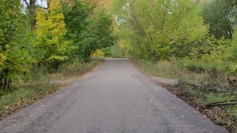 Path in the park in autumn Stock Footage 213595062