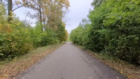Path in the park in autumn Stock-Footage 213595071