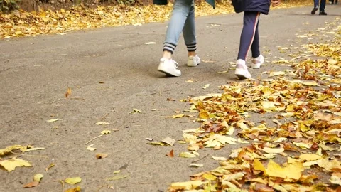 Path in the park in autumn. Legs of people passing by. Slow motion Video stock 282671069