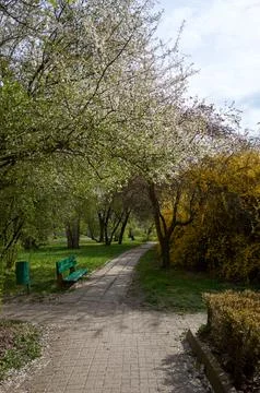 Path in a park with a bench and trees Stock Photos