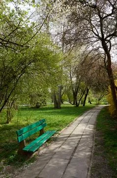Path in a park with a bench and trees Stock Photos