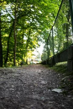 Path in park benches among trees green climate western poland Foto stock