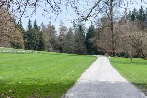 Path in the park between green fields Stock Photos