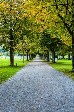 Path in the park between the trees during autumn Stock Photos