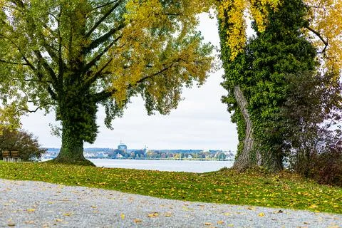 Path in the park between the trees during autumn Stock Photos