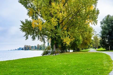 Path in the park between the trees during autumn Stock Photos