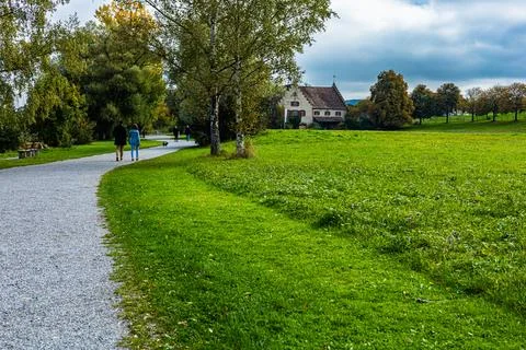 Path in the park between the trees during autumn Stock Photos