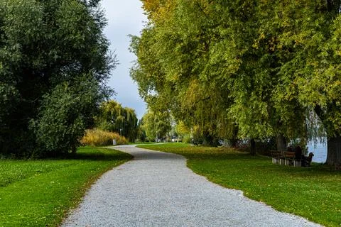Path in the park between the trees during autumn Stock Photos