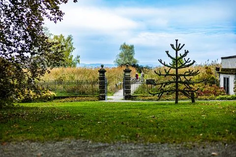 Path in the park between the trees during autumn Stock Photos